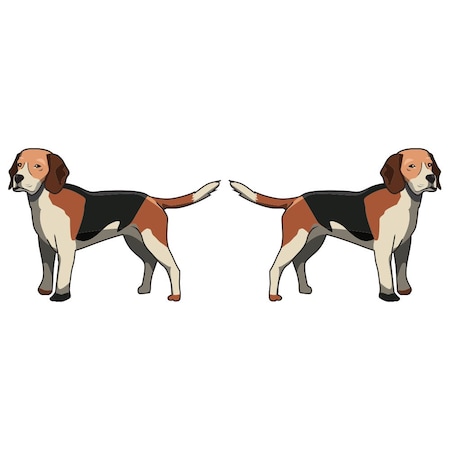 Signmission Harrier Dog Decal, Dog Lover Decor Vinyl Sticker D-18-Harrier